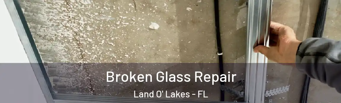  Broken Glass Repair Land O' Lakes - FL