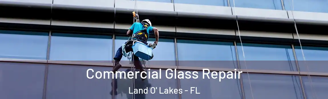  Commercial Glass Repair Land O' Lakes - FL