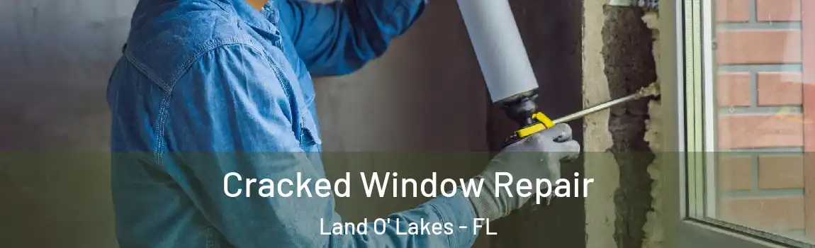  Cracked Window Repair Land O' Lakes - FL