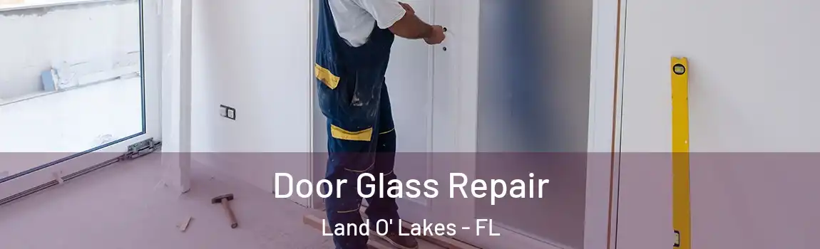  Door Glass Repair Land O' Lakes - FL