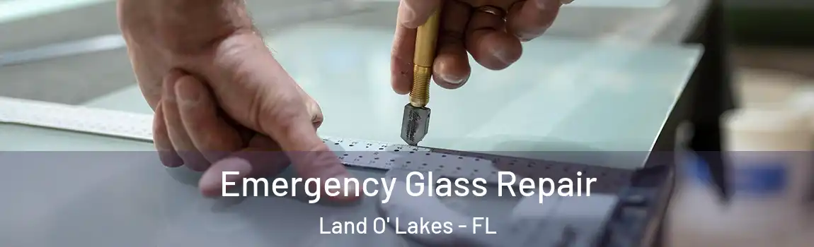  Emergency Glass Repair Land O' Lakes - FL