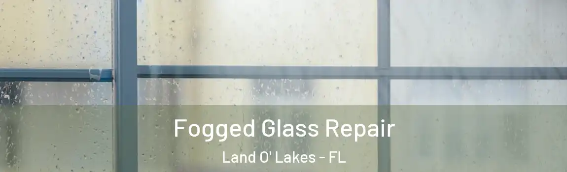  Fogged Glass Repair Land O' Lakes - FL