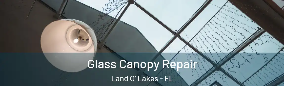  Glass Canopy Repair Land O' Lakes - FL