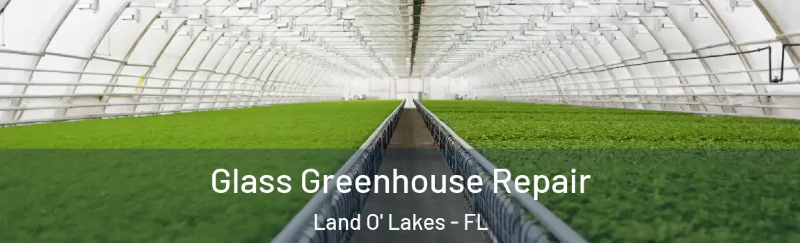  Glass Greenhouse Repair Land O' Lakes - FL