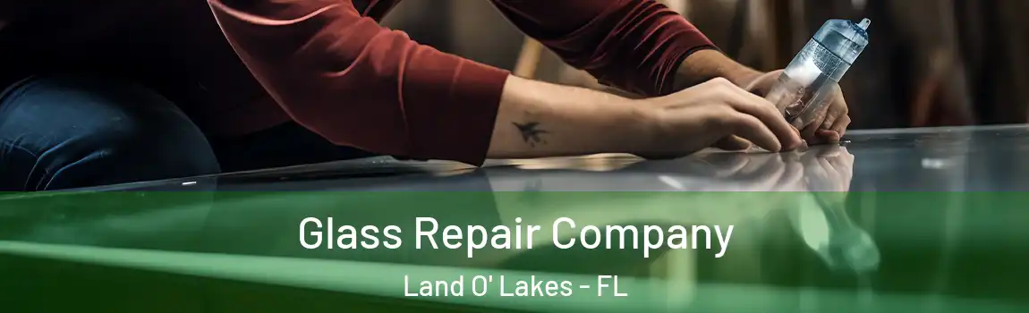  Glass Repair Company Land O' Lakes - FL