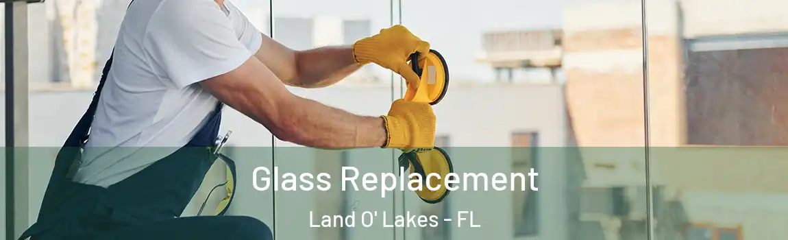  Glass Replacement Land O' Lakes - FL