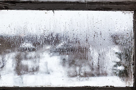 Defogging Double Pane Windows in Land O' Lakes, FL