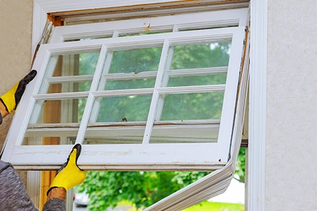 Window Replacement in Land O' Lakes, FL