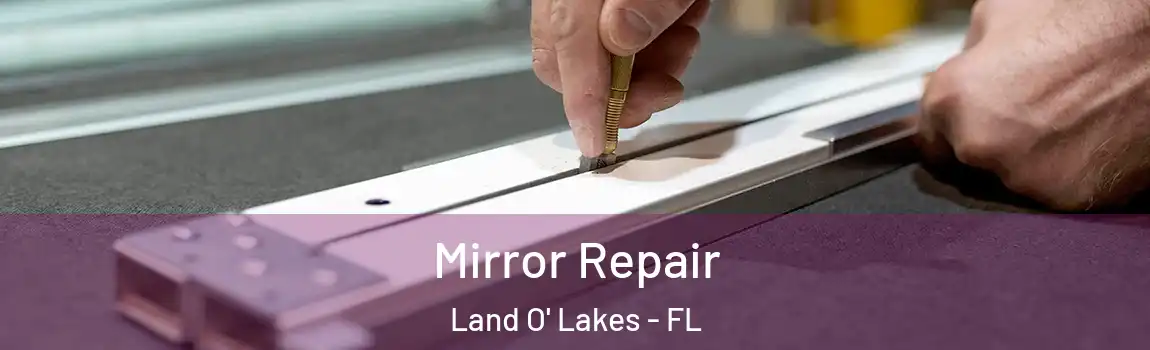  Mirror Repair Land O' Lakes - FL