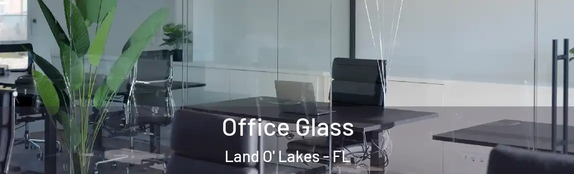  Office Glass Land O' Lakes - FL