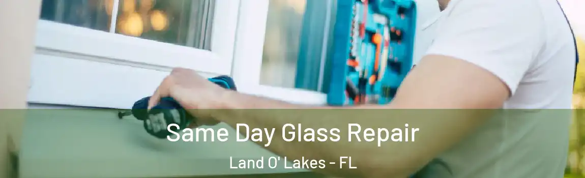  Same Day Glass Repair Land O' Lakes - FL