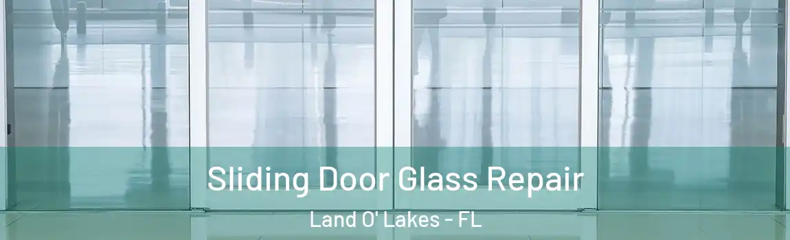 Sliding Door Glass Repair Land O' Lakes - FL