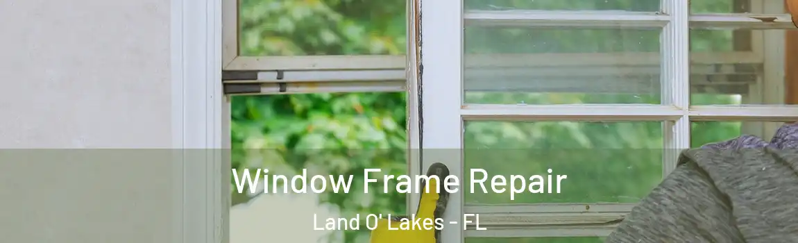  Window Frame Repair Land O' Lakes - FL