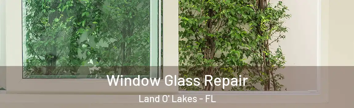  Window Glass Repair Land O' Lakes - FL