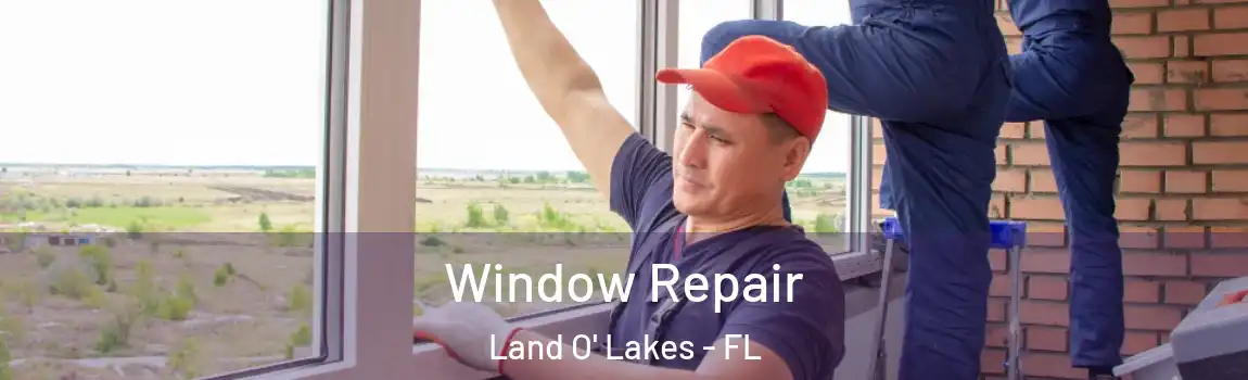  Window Repair Land O' Lakes - FL