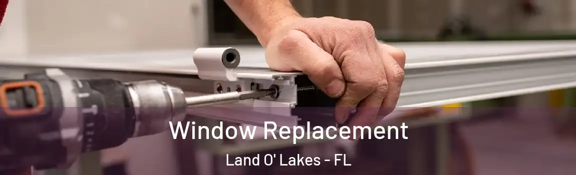  Window Replacement Land O' Lakes - FL