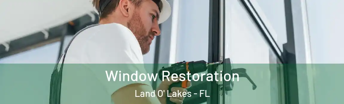  Window Restoration Land O' Lakes - FL