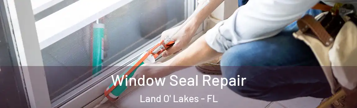  Window Seal Repair Land O' Lakes - FL